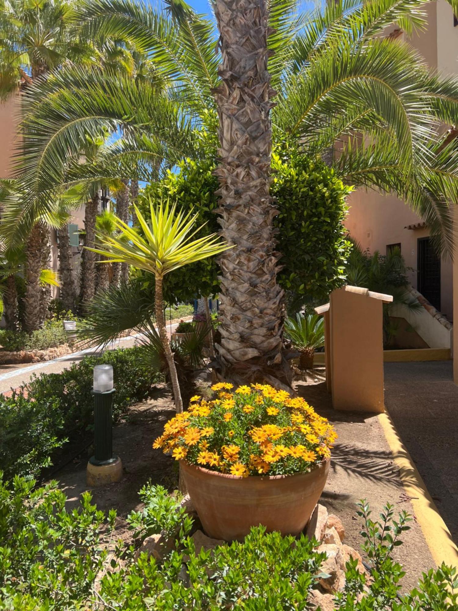 Apartamento Casa Al Mare Aldea Torrevieja Exterior foto